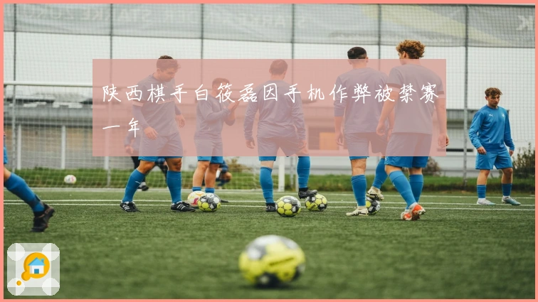 陕西棋手白筱磊因手机作弊被禁赛一年