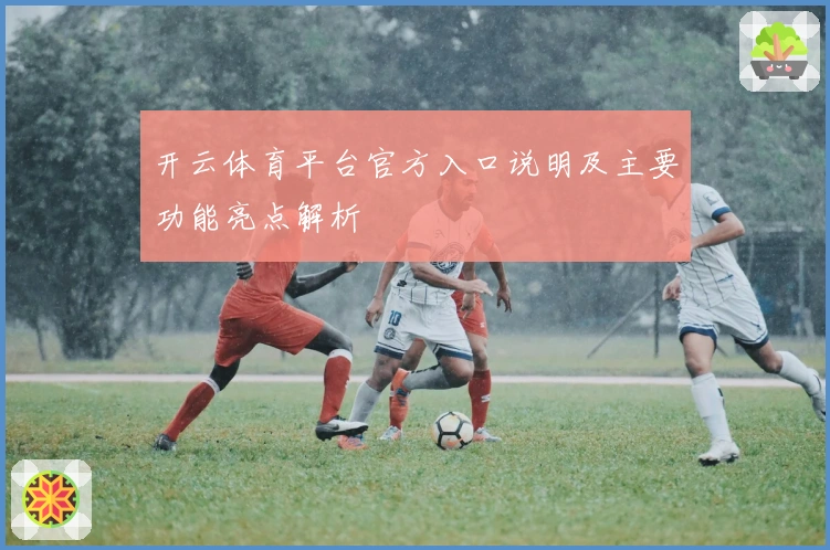 开云体育平台官方入口说明及主要功能亮点解析